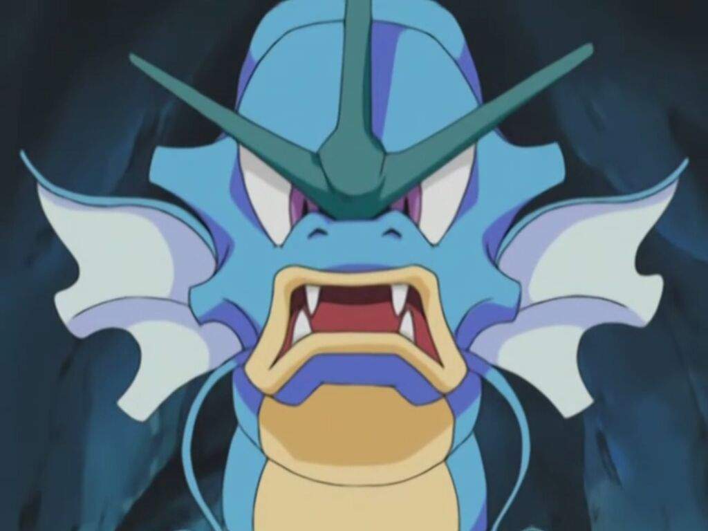 Gyarados | Wiki | •Anime• Amino