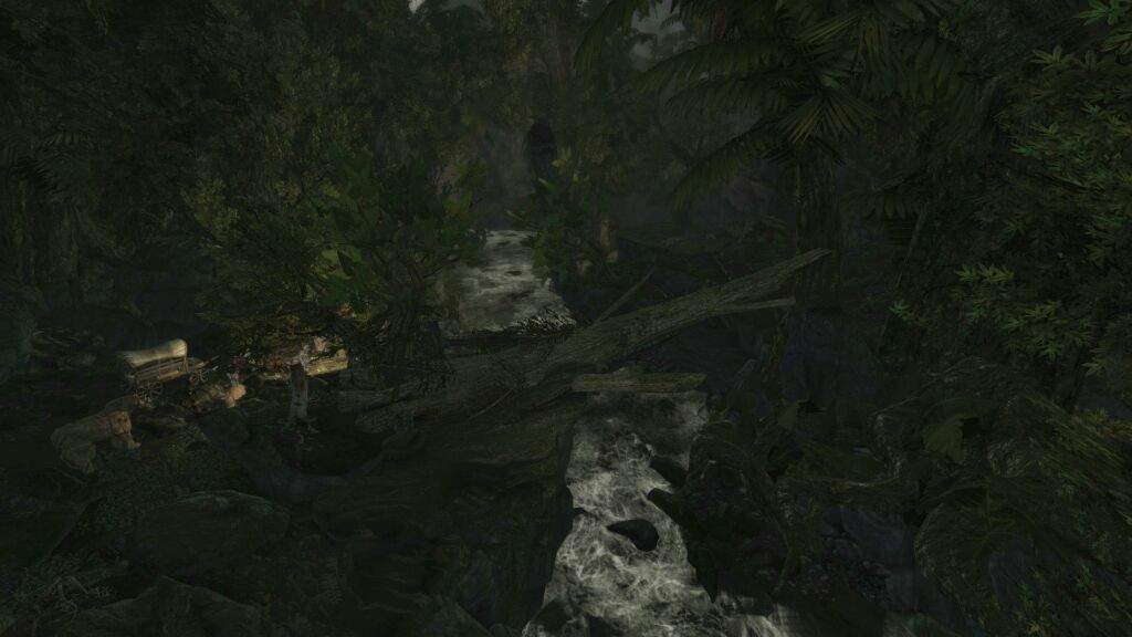 Tenmar Forest | Wiki | Tamriel: Elder Scrolls Amino Amino