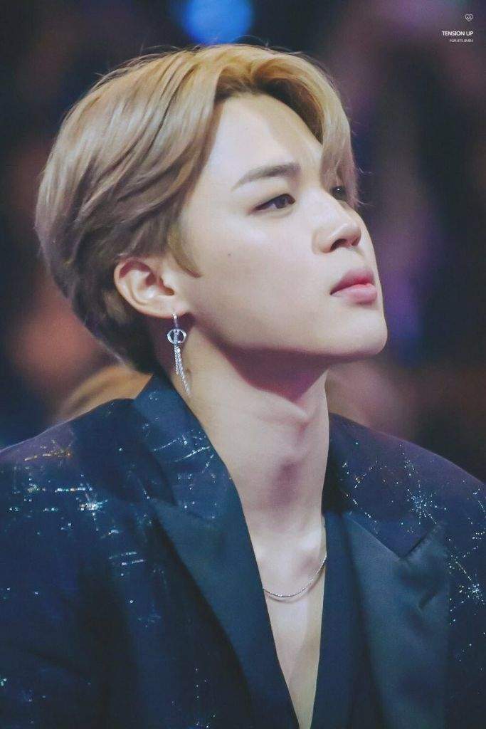 Jimin @ MAMA 2017 | ARMY's Amino