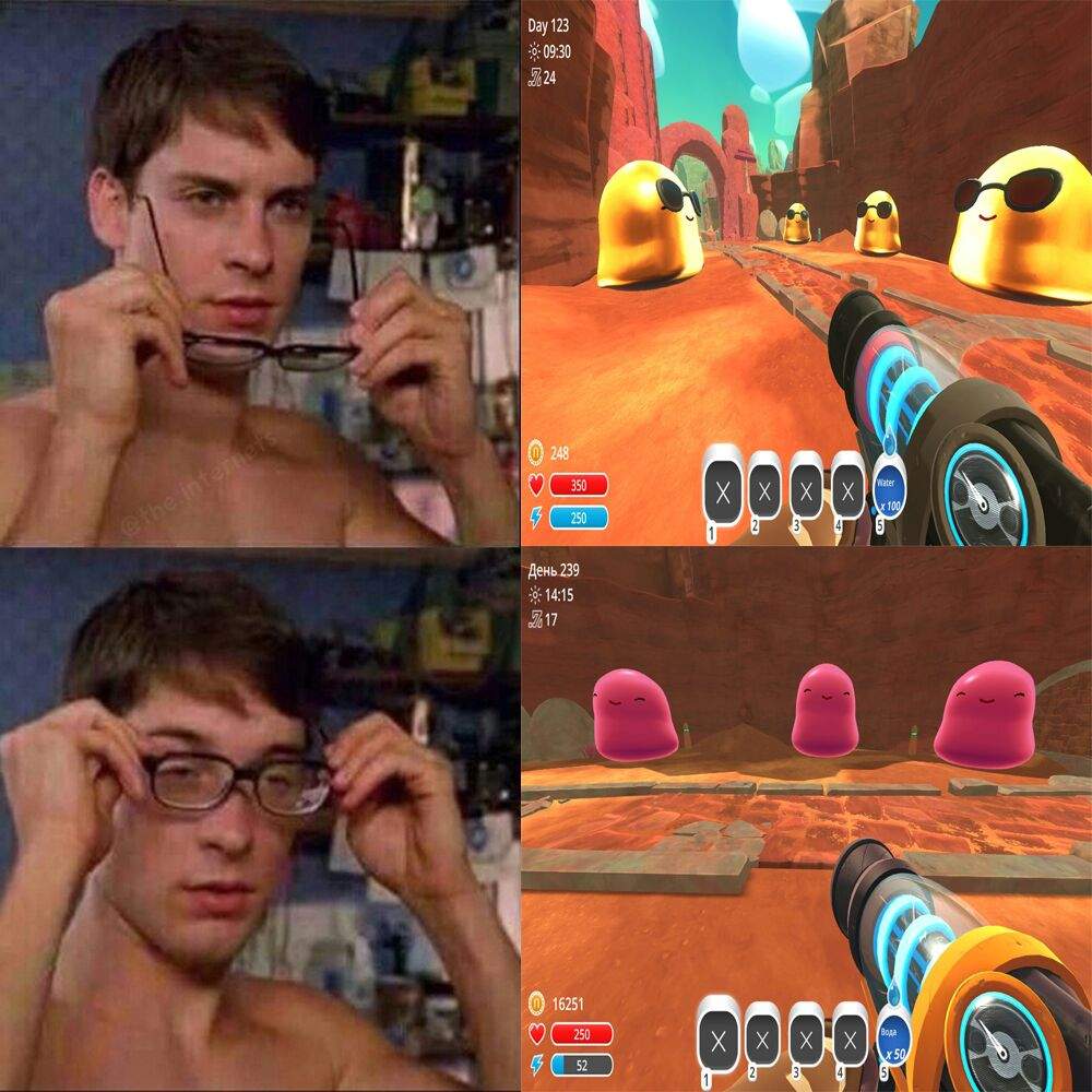 slime rancher memes