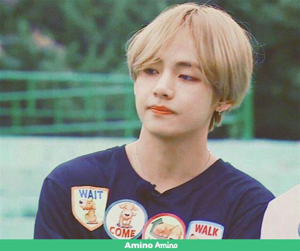 TAETAE💖 | Wiki | BTS LATINO Amino