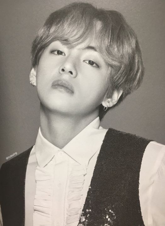 Taehyung - BTS Premium photo Wings Tour final | ARMY's Amino