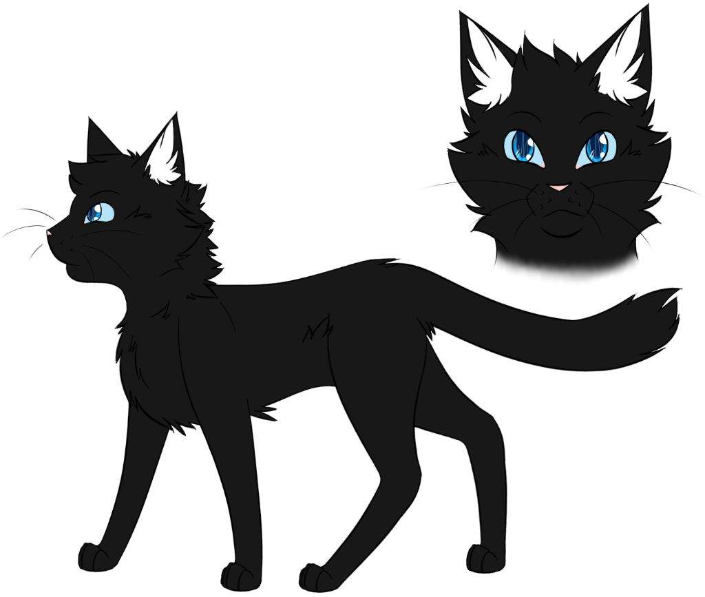 35++ Warrior cats katzen bilder , Warrior Cats Charakter Wiki German Warrior Cats Amino