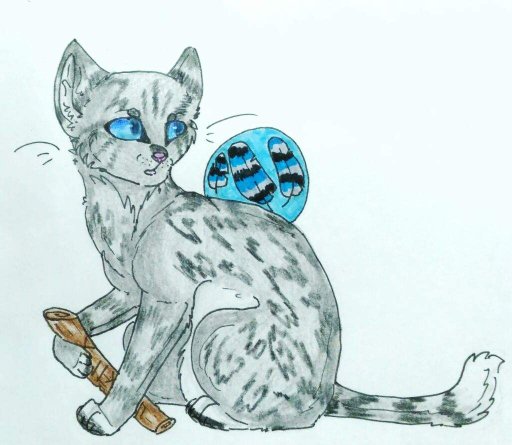 Коты воители рисунки для скетчбука