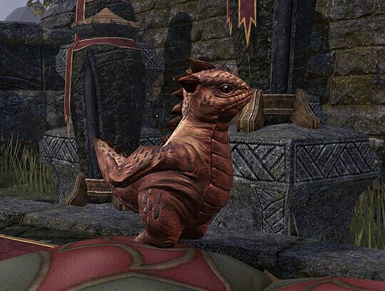 Bantam Guar | Wiki | The Elder Scrolls Brasil Amino