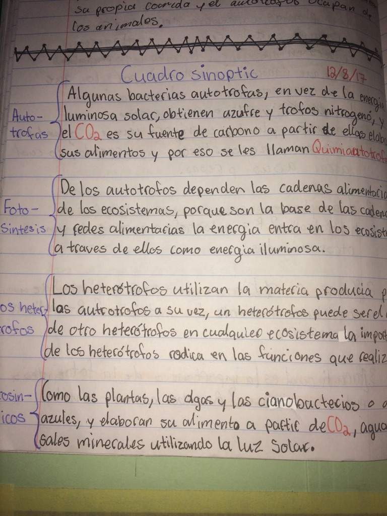 biology-in-spanish-study-studying-amino-amino