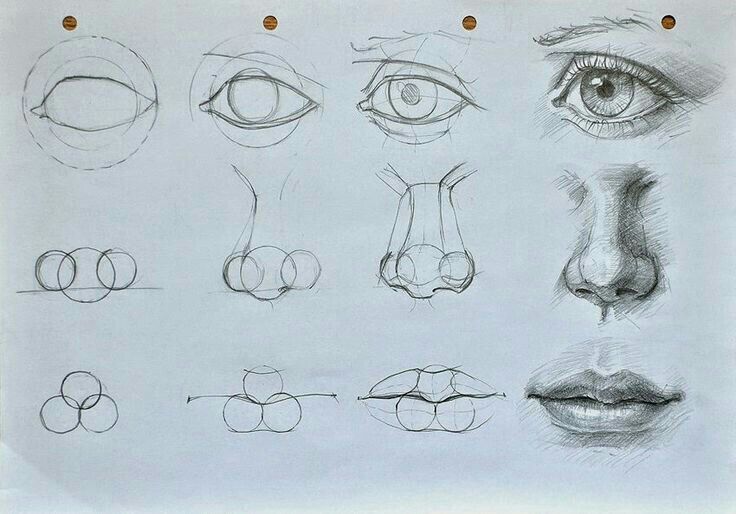 تعليم رسم العين الفم الانف  الفن والرسم Amino