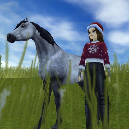 Connemara! ☆ | Star Stable Online Amino