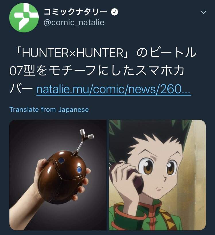 Hunter X Hunter Fans Can Get Their Own Beatle 07 Now Anime Amino