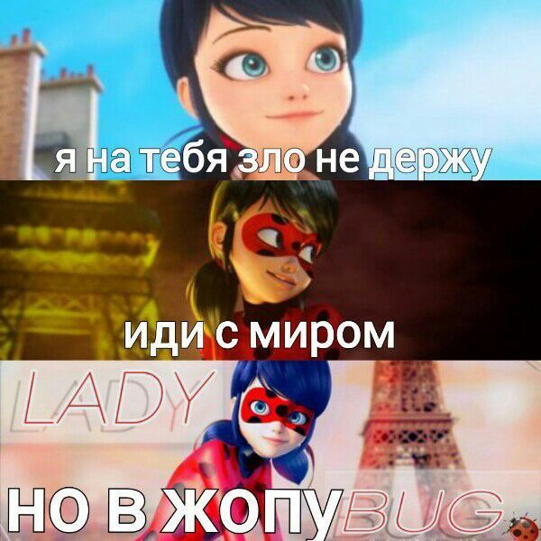 леди баг приколы картинки онлайн леди баг приколы картинки