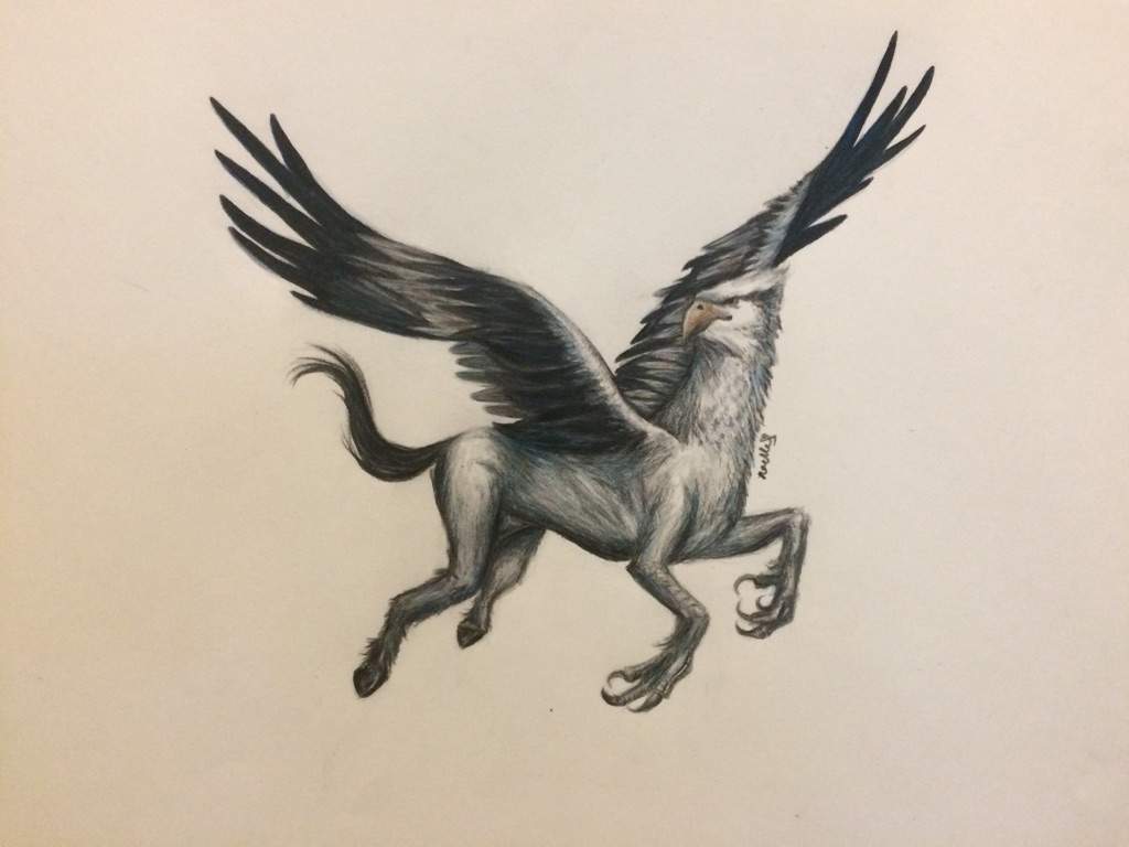 How To Draw A Hippogriff
