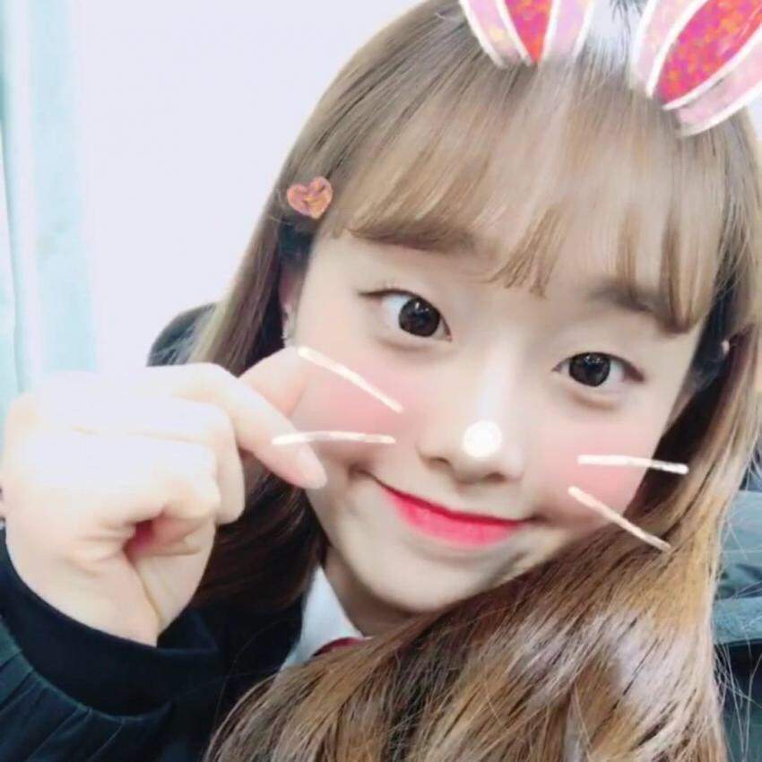 🎀 Chuu Pics + Videos + Singing + Profile 🎀 | LOOΠΔ Amino Amino