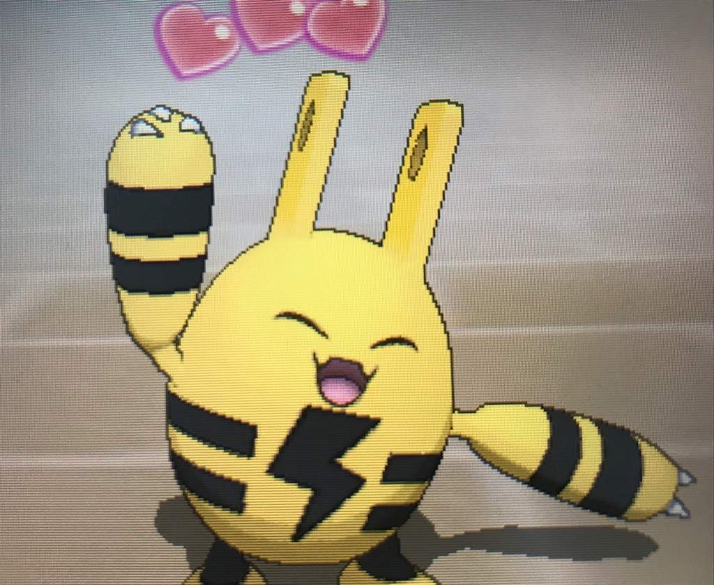 elekid pokedoll