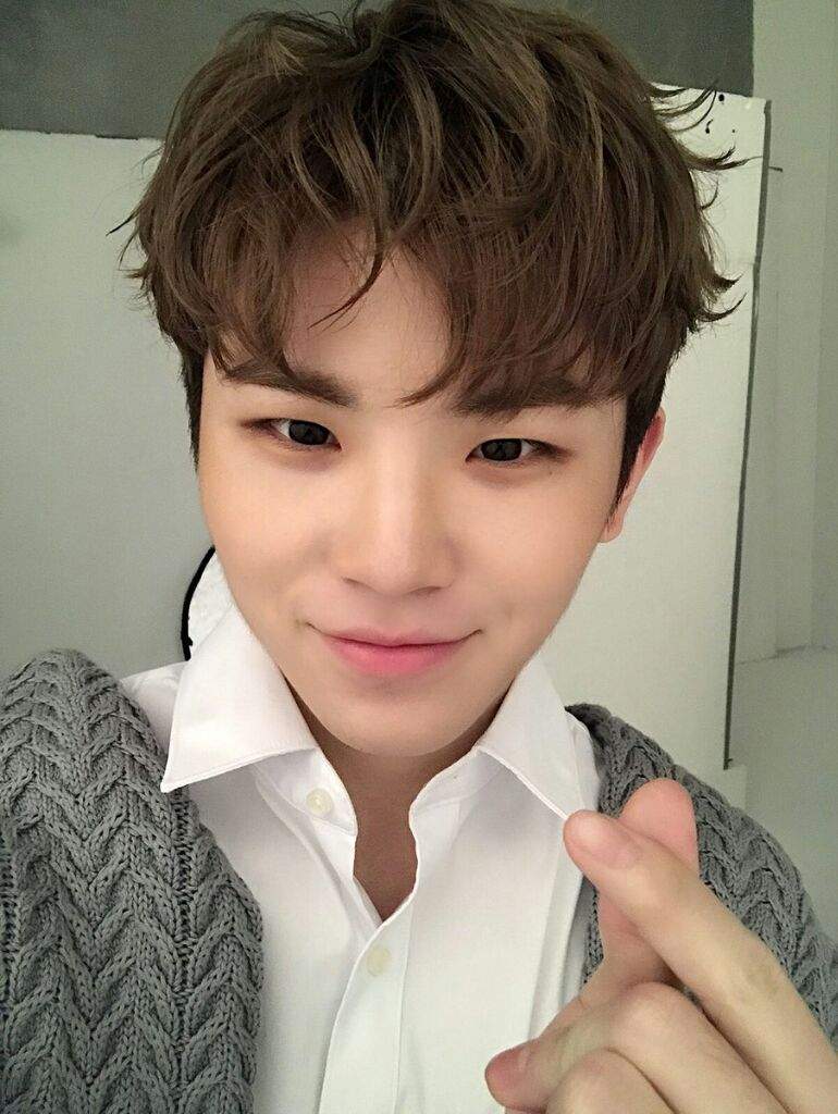 30 day Bias challenge ~Day 2 | Woozi (우지) Amino