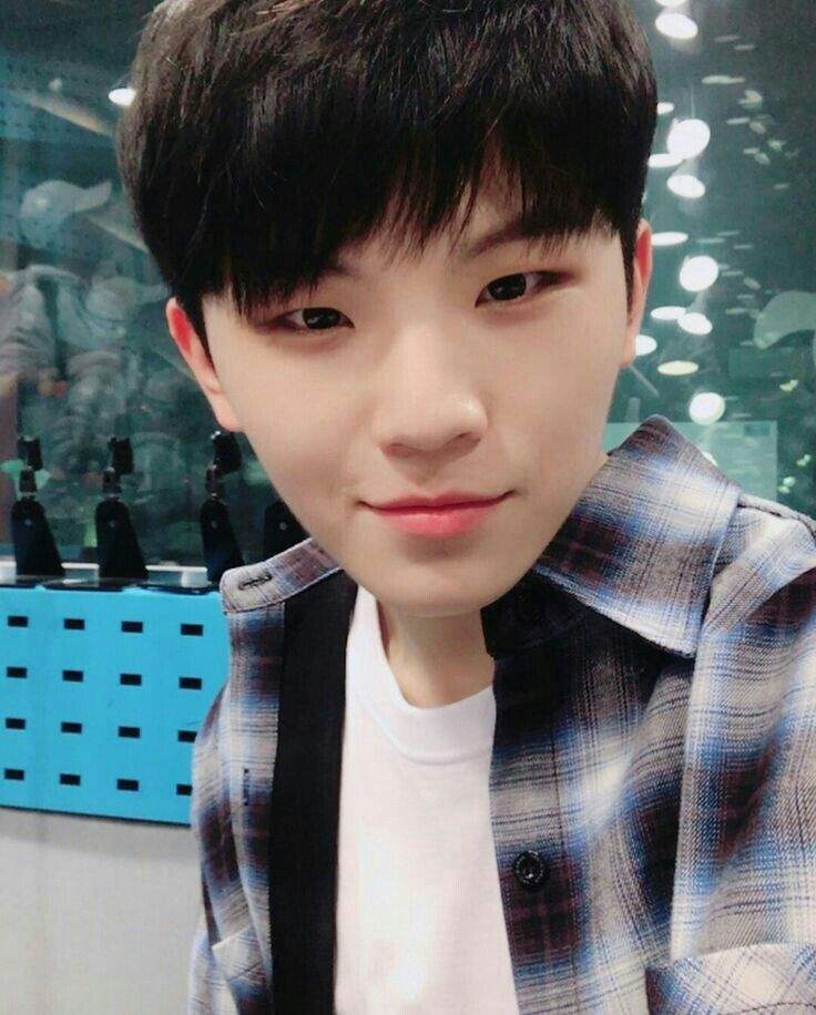 30 day Bias challenge ~Day 2 | Woozi (우지) Amino