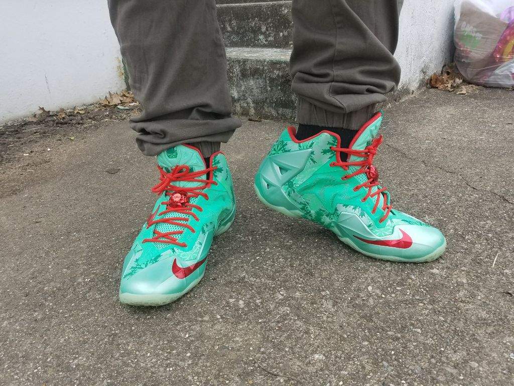 lebron 11 christmas on feet