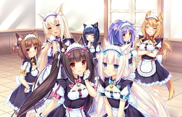 Nekopara 3 время прохождения