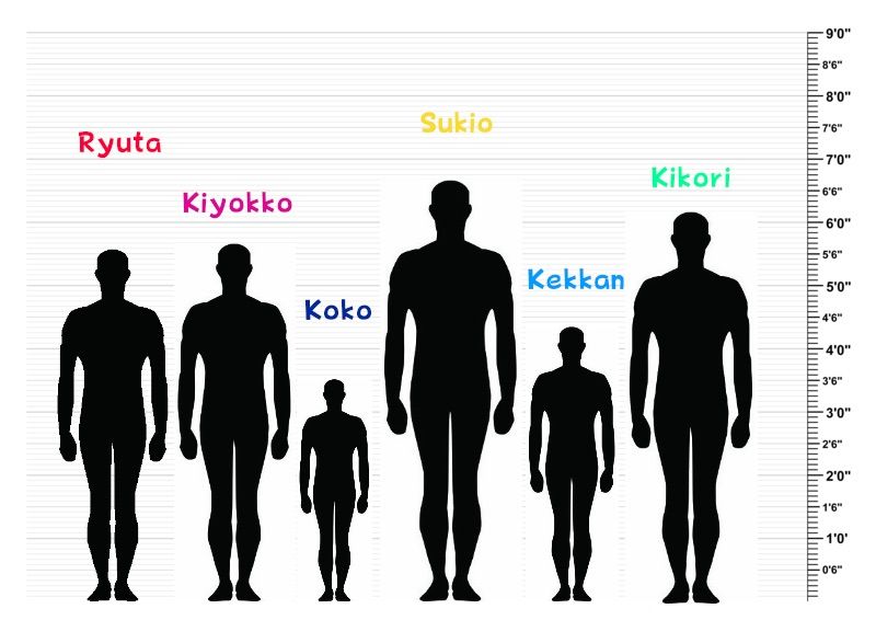 Height Chart With People