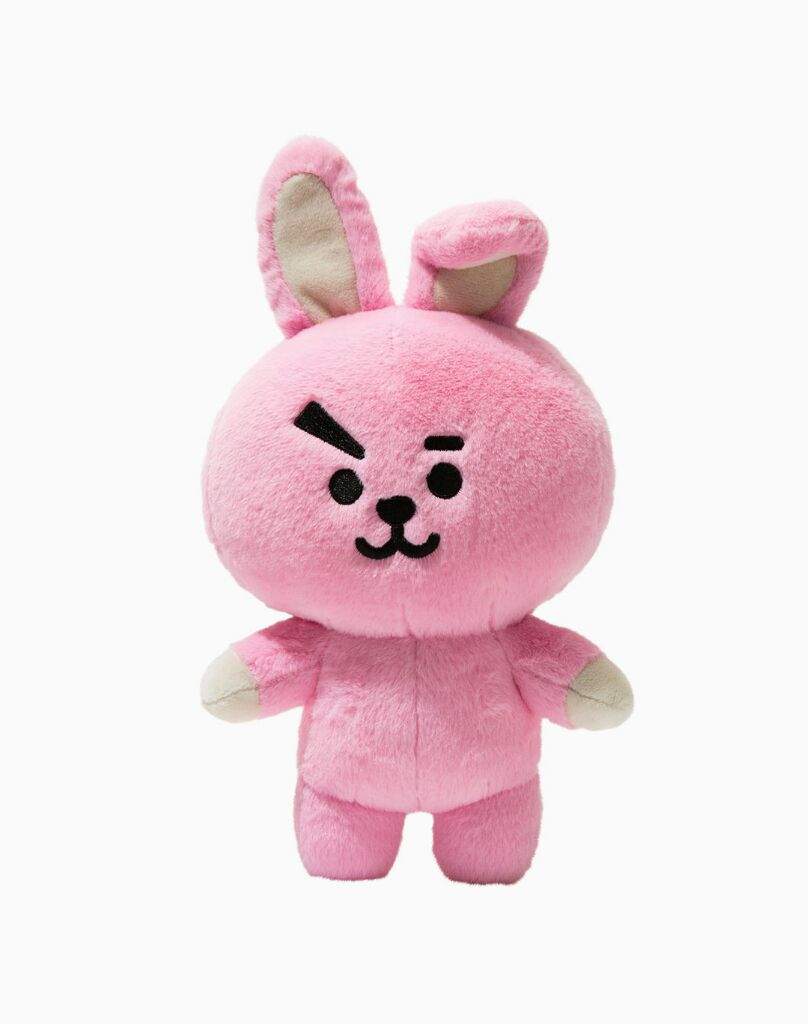 bt21 cooky teddy