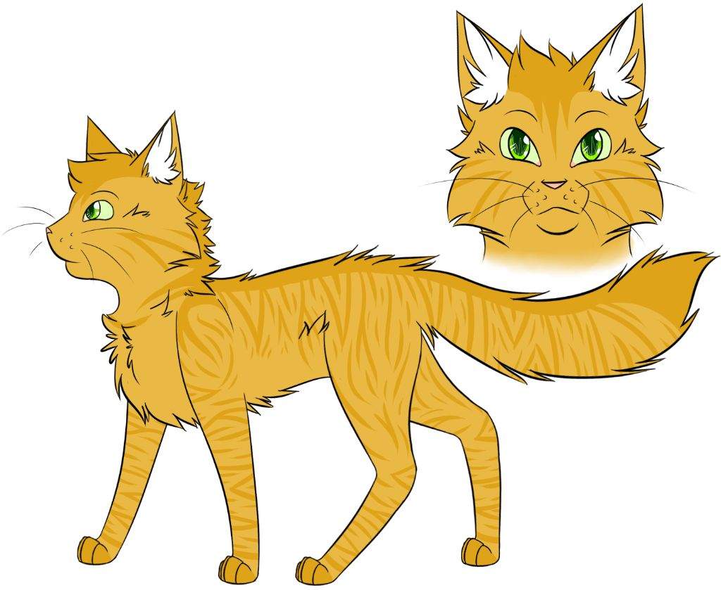 Warrior Cats Charakter | Wiki | German Warrior Cats Amino