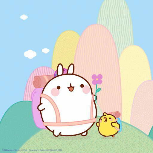 Kawaii Character Review: Molang💗🐰💗Thanks for the feature!💗 | Kawaii ...