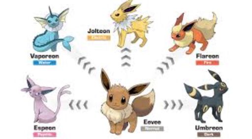 Eevee evolution adventure #1, the Beginning | Pokemon GO Amino