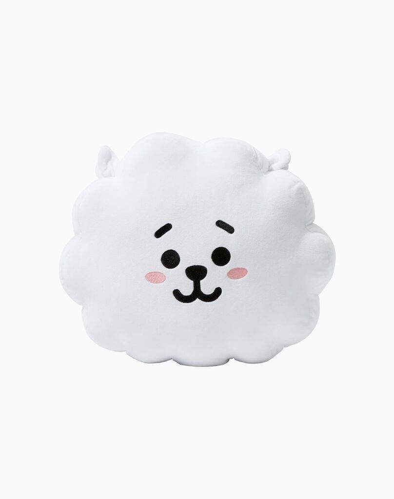 bt21 pillow rj