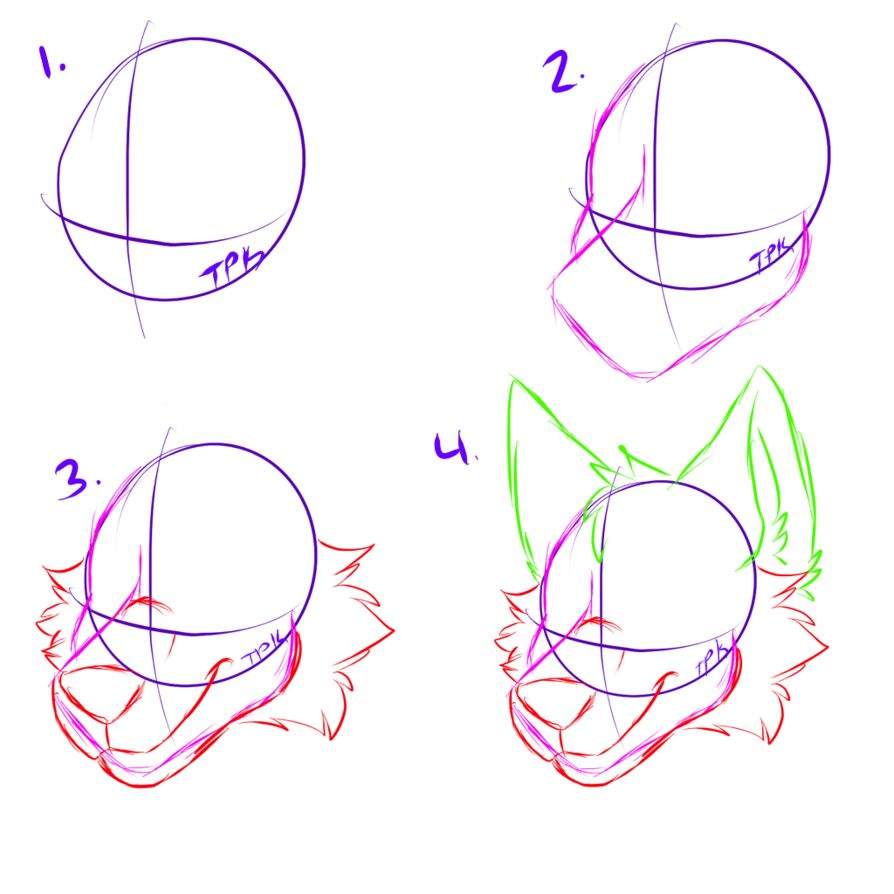 Headshot Base Drawing A furry head shot base to fill