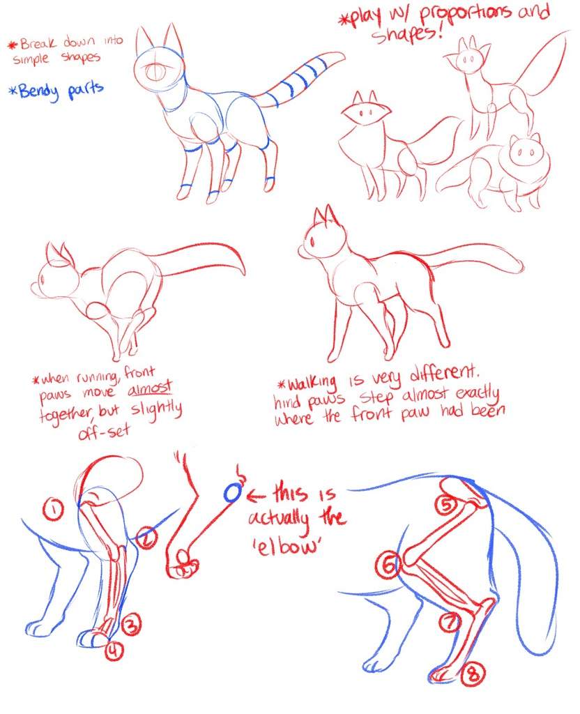 Simplified Cat Posing/Understanding Poses | Warriors Amino
