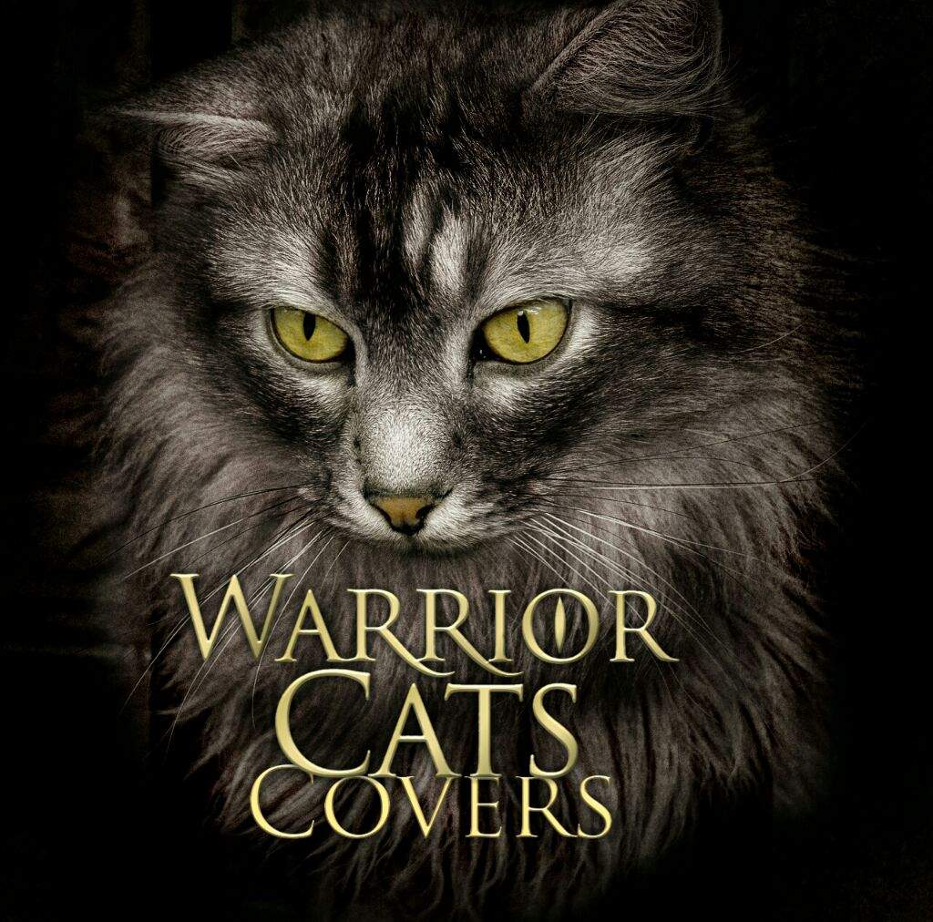 Cats covers. Warrior Cats Polish Covers. Джа Кэт обложка.