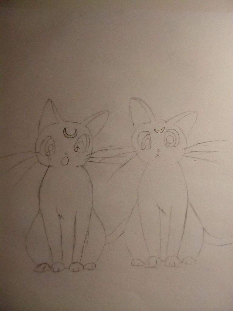 Cute Anime Cat Drawing That I Did Today Cats Amino