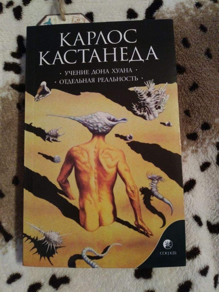 Кастанеда список по порядку. Дон Хуан Кастанеда книги. Кастанеда учение Дона Хуана отдельная реальность. Кастанеда Карлос. Учение Дона Хуана.книга 1. м. София 2009г..