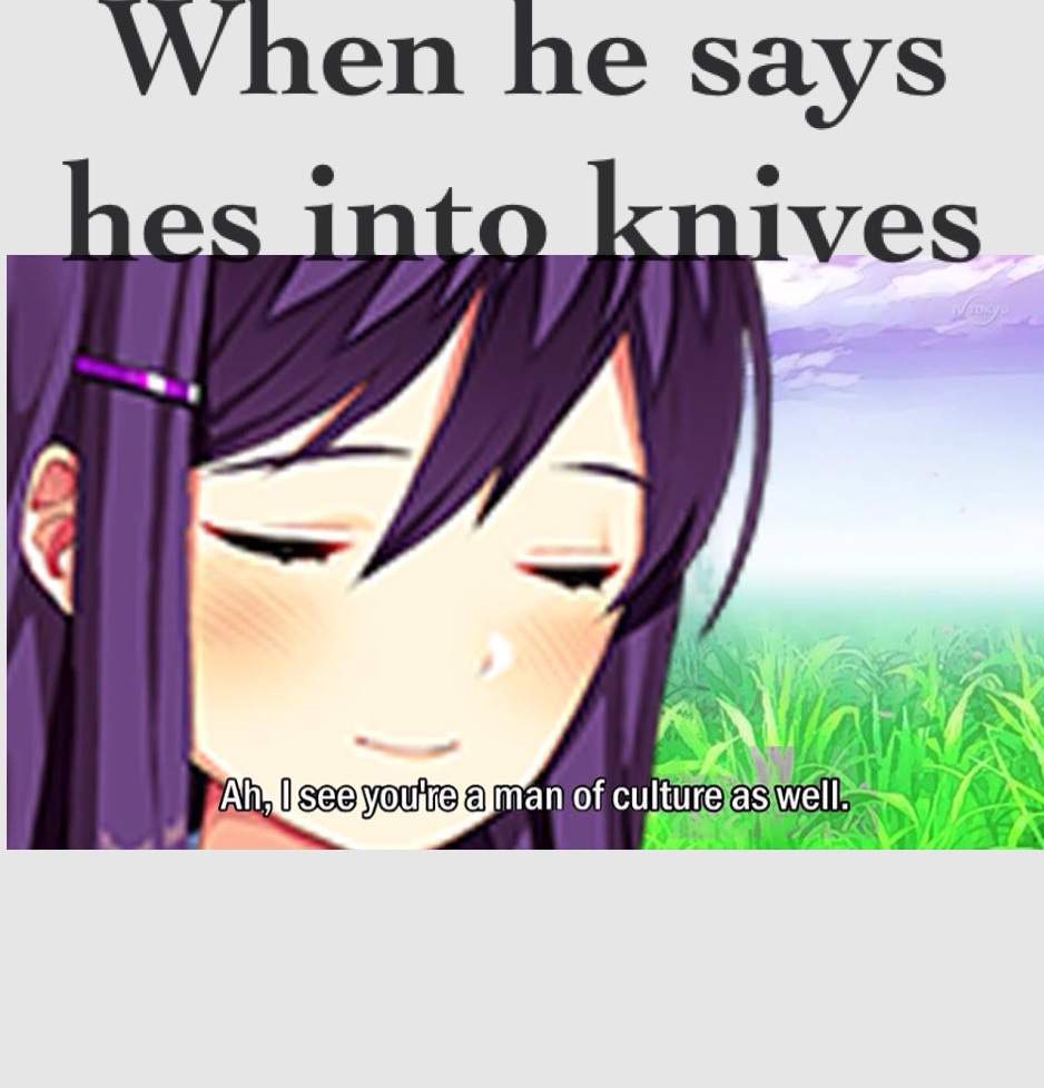 Meme Post 1 Doki Doki Literature Club Amino