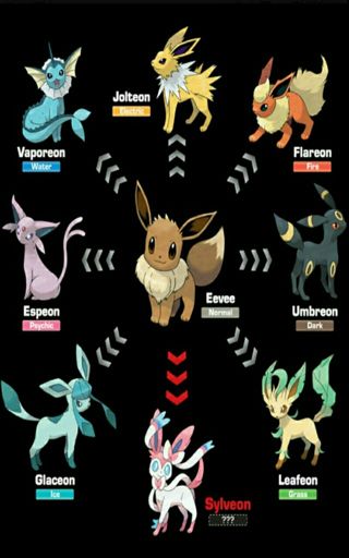 Who is the best Eeveelution to draw | Pokémon Amino