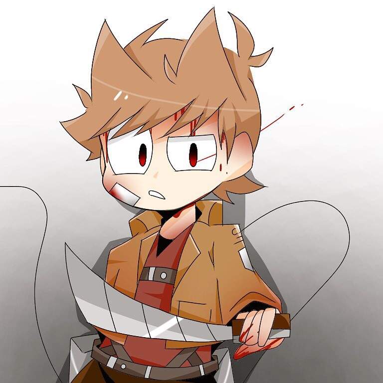 Eddsworld 進撃の巨人 Attack On Titan 副兵士長tord Eddsworld Amino