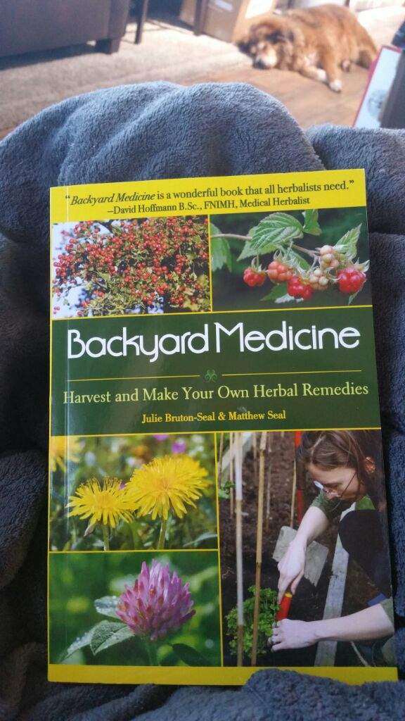 Currently Reading Backyard Medicine Pagans Witches Amino