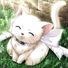 amino-~Dancing-Kitty-Chan~(Plz read bio)-0db05b21