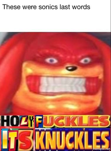 Holy fuckles it's knuckles | Wiki | Sonic the Hedgehog! Amino