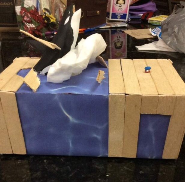 tissue box project