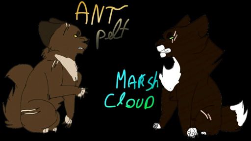 Breezepelt X ivypool | Warriors Amino