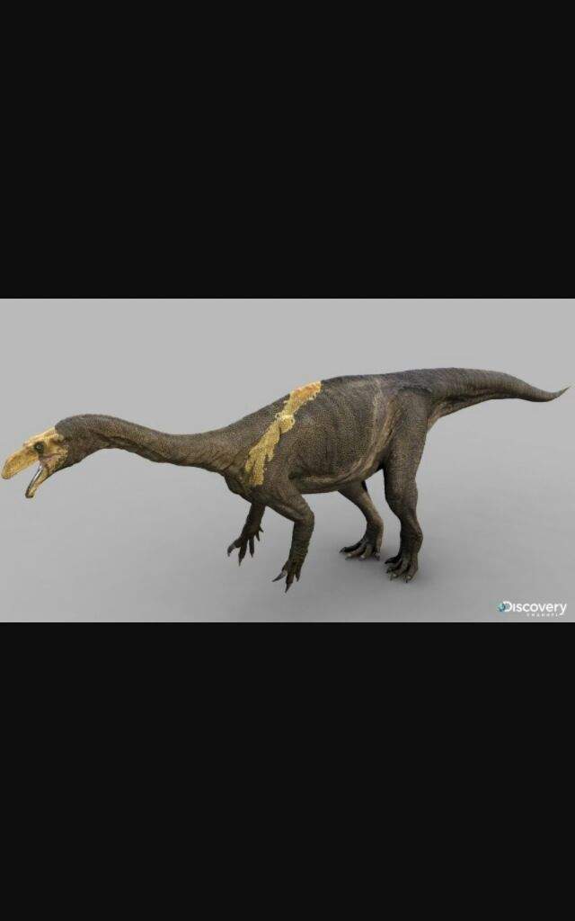 Dinosaurios de la Antártida | Amino Paleontología Amino Dinosaurios de la Antártida | Amino Paleontología Amino