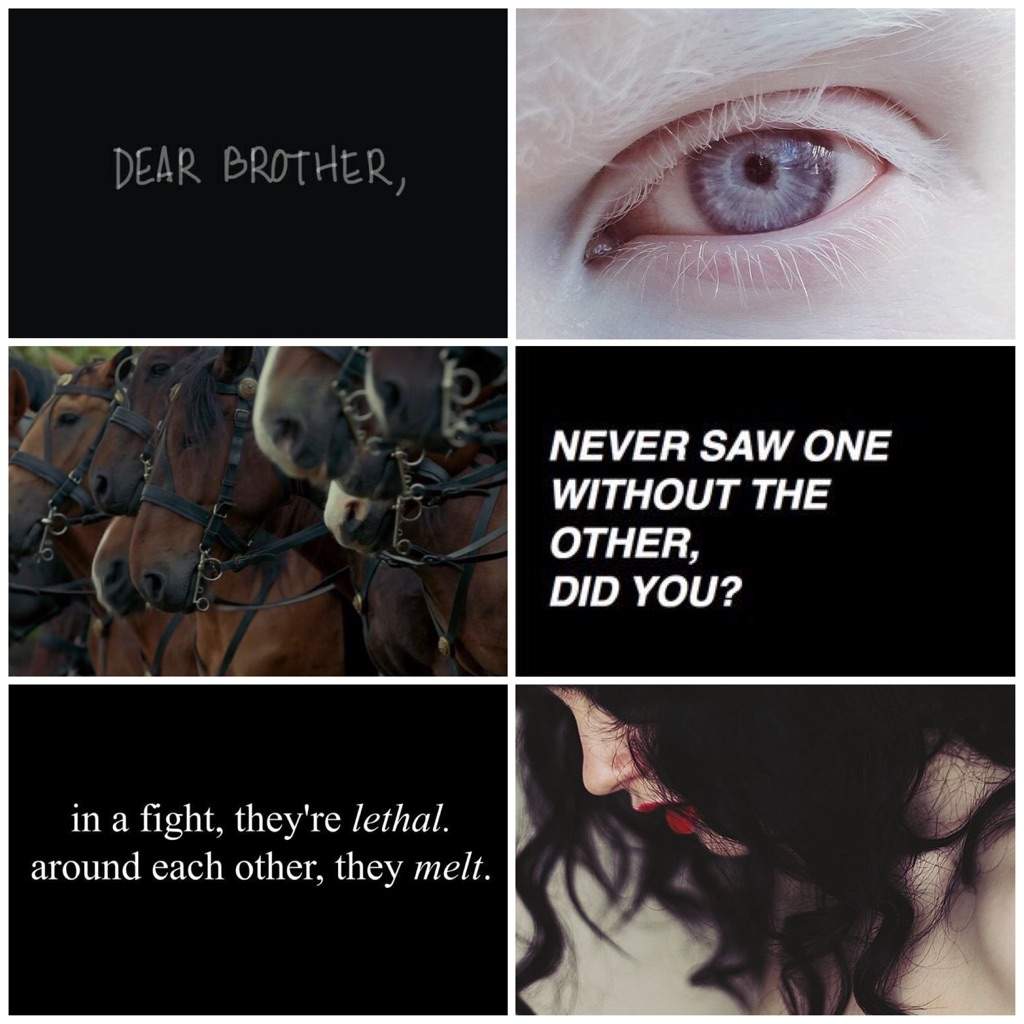 I made a Moodboard for my FF 🤷‍♀️ | Berserk Amino Amino