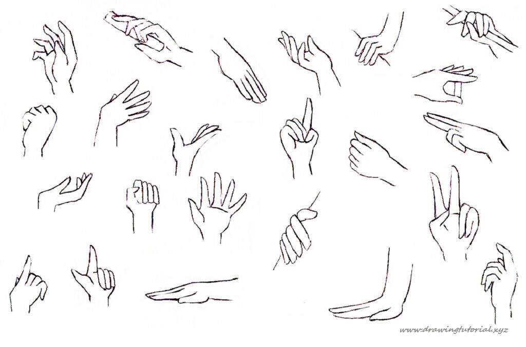 When you download anime hands to know how to draw them correctly