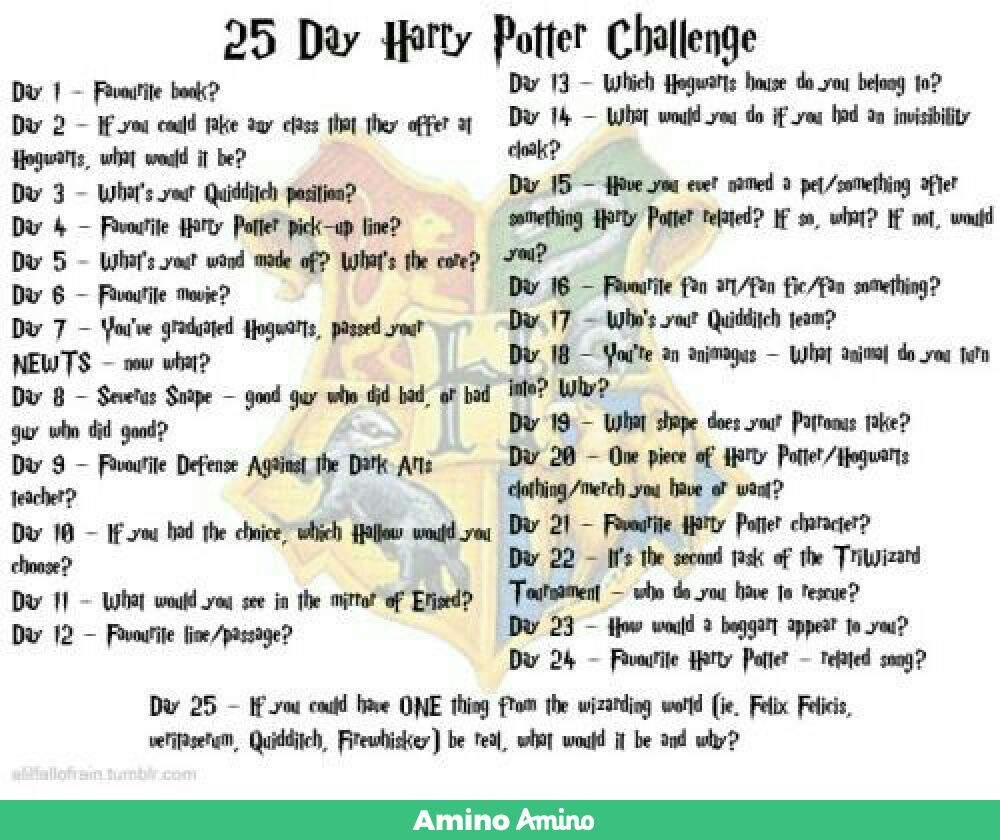 Day 20 One Piece Of Harry Potter Hogwarts Clothing Merch You Have Or Want Geekdom Amino