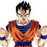 amino-Gohan san-67984c87