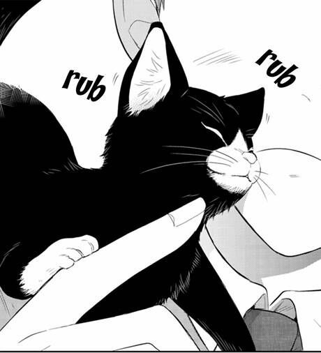 Anime Cat Pfp
