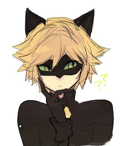 Chat noir(cat nua)😻😻 | Wiki | •Miraculous Ladybug Español• Amino