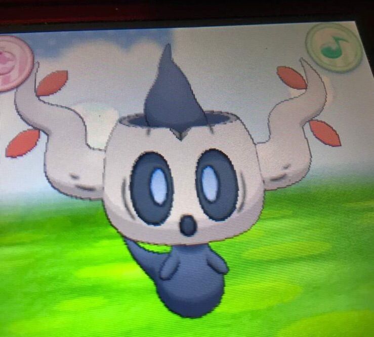 shiny phantump plush