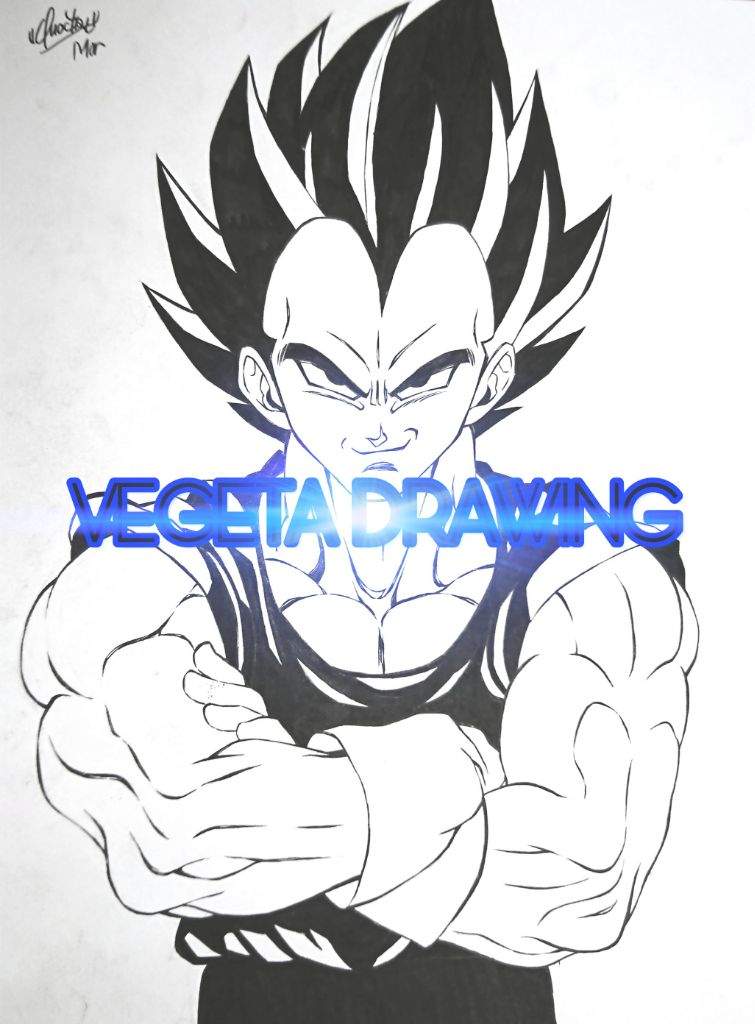 Vegeta Drawing Part I Anime Amino