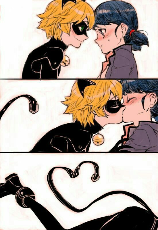 Marichat | Wiki | 🐱🐝🐞Miraculous Ladybug🐞🐝🐱 Amino